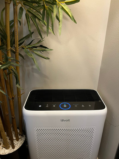 The Best Air Purifier for Homes With Dogs: A Review of the Levoit Vital 200S-P