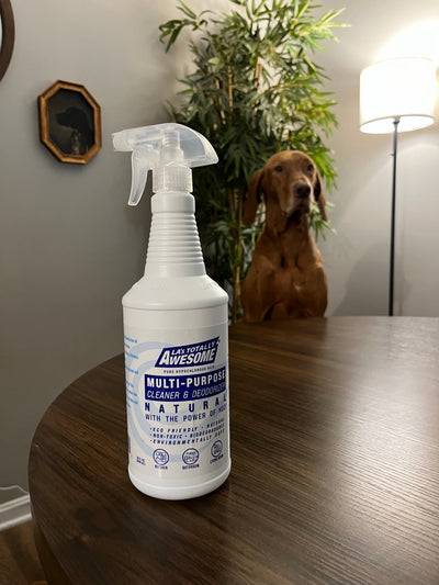 Hypochlorous Acid for Pet-Friendly Homes: A Safer Way to Clean