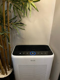 The Best Air Purifier for Homes With Dogs: A Review of the Levoit Vital 200S-P