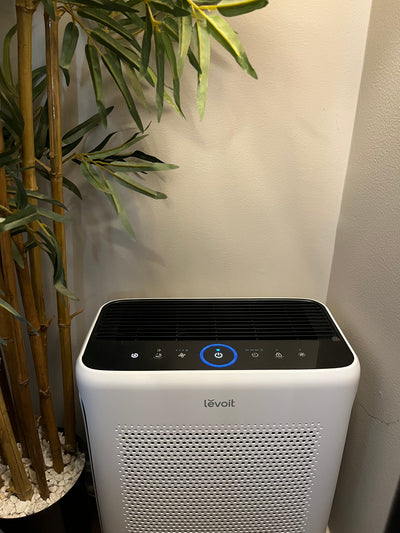 The Best Air Purifier for Homes With Dogs: A Review of the Levoit Vital 200S-P