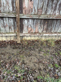 Renter-Friendly Solutions for Muddy Backyards