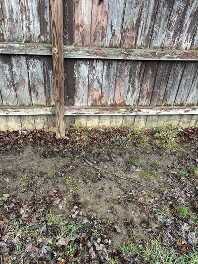 Renter-Friendly Solutions for Muddy Backyards