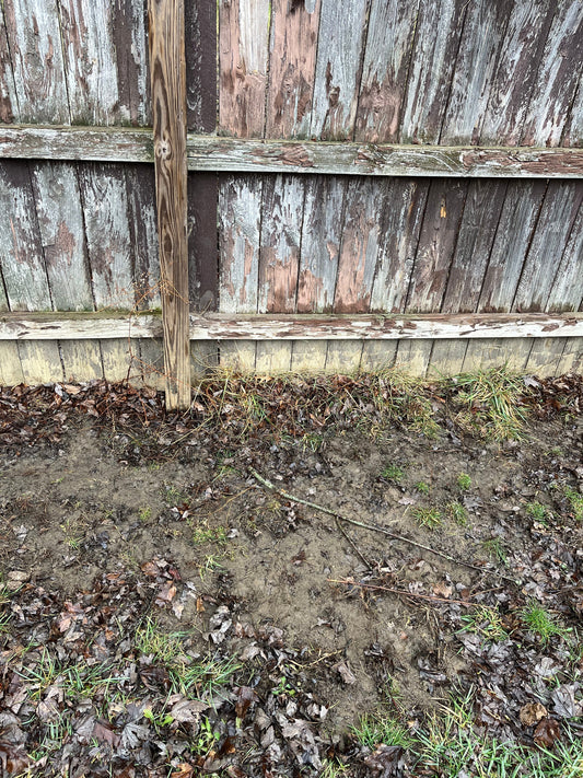 image of a muddy yard