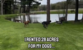 Sniffspot: The Stress-Free Way to Let Your Dog Run Off Leash