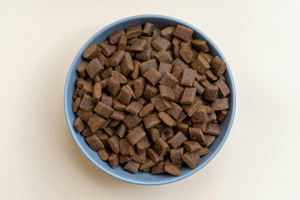 How to Choose the Right Kibble for Your Dog (Without Falling for Marketing Hype)