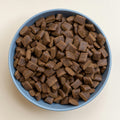 How to Choose the Right Kibble for Your Dog (Without Falling for Marketing Hype)
