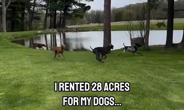 Product and Service Reviews