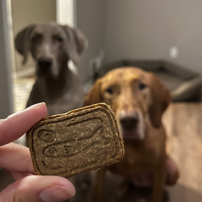 Sardine Can Cookie Cutter