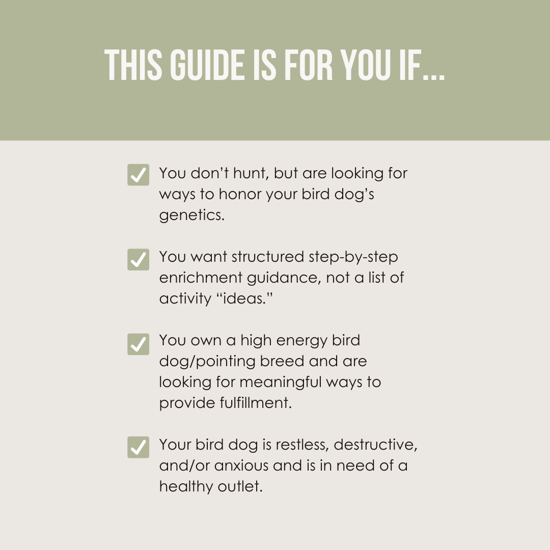 A Practical Guide to Instinctual Enrichment Ebook