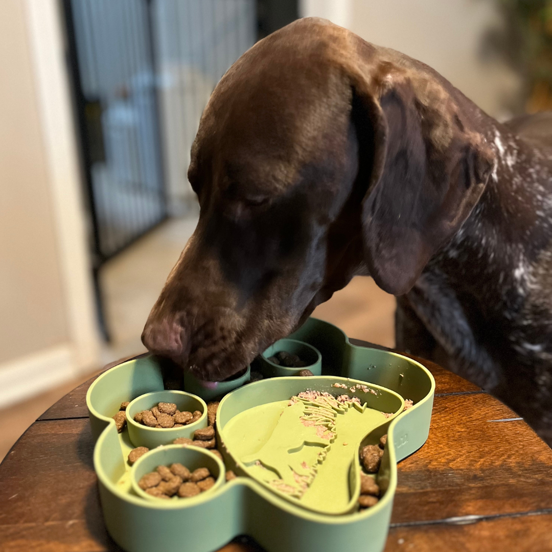 Bird Dog Slow Feeder Bowl