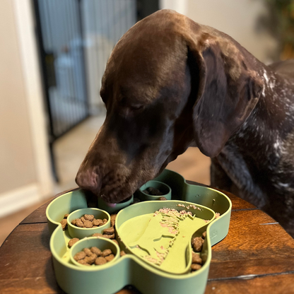 Bird Dog 2-in-1 Slow Feeder Bowl