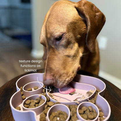 Bird Dog 2-in-1 Slow Feeder Bowl