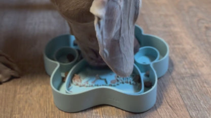 Bird Dog 2-in-1 Slow Feeder Bowl